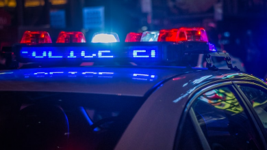 Arlington counterfeit crackdown: Man arrested in high-end fashion forgery