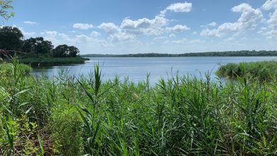 Eminent domain drama unfolds: Texas aims to rescue beloved Fairfield Lake State Park